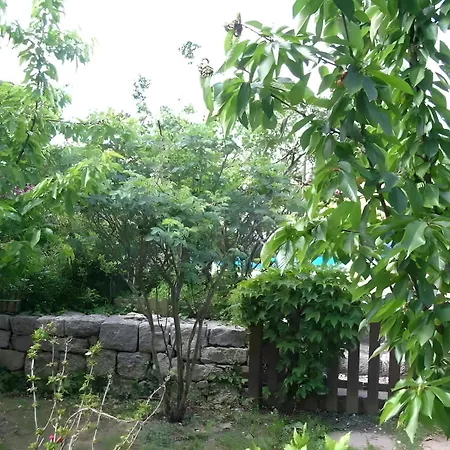 La Roseraie Casa vacanze
